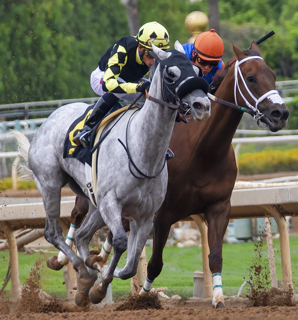 不仅是个人 不仅是个人